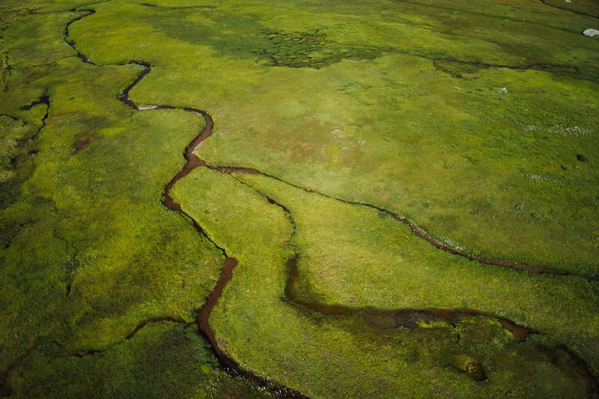 Vista aérea de una red de canales de agua sobre un pastizal, que se dividen y se vuelven a juntar varias veces a lo largo de su recorrido: la misma anatomía de un alluvial diagram, donde los flujos se bifurcan y confluyen entre categorías a lo largo de distintas etapas