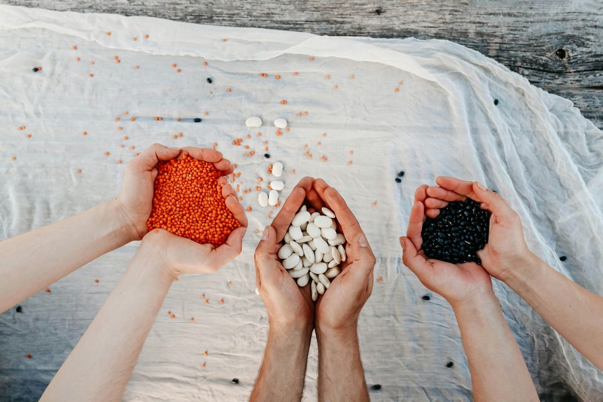 Tres manos sosteniendo cada una un montón compacto de una legumbre distinta —lentejas rojas, porotos blancos, frijoles negros— granos individuales agrupados sin superponerse: la misma anatomía de un bee swarm, categorías separadas donde cada una es un enjambre compacto de puntos