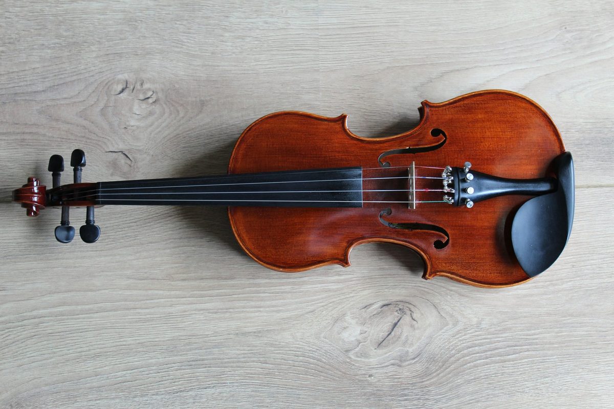 Cuerpo de un violín visto de frente, con la doble curva de cintura entre los bouts superior e inferior: la silueta simétrica que un violin plot imita, ancha en los extremos y angosta en el centro